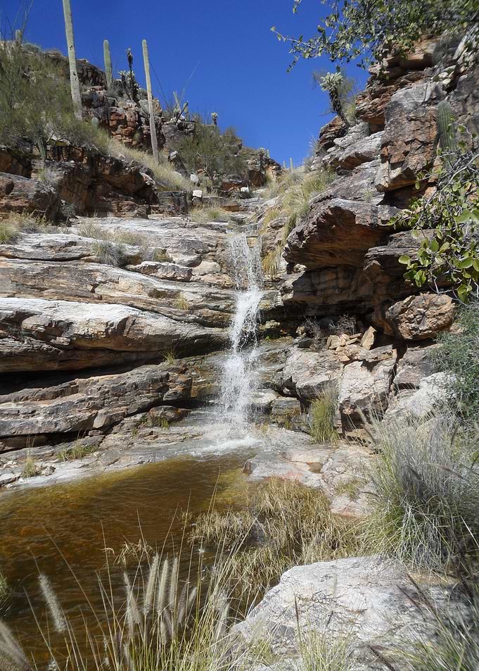 Canyon Reprieve