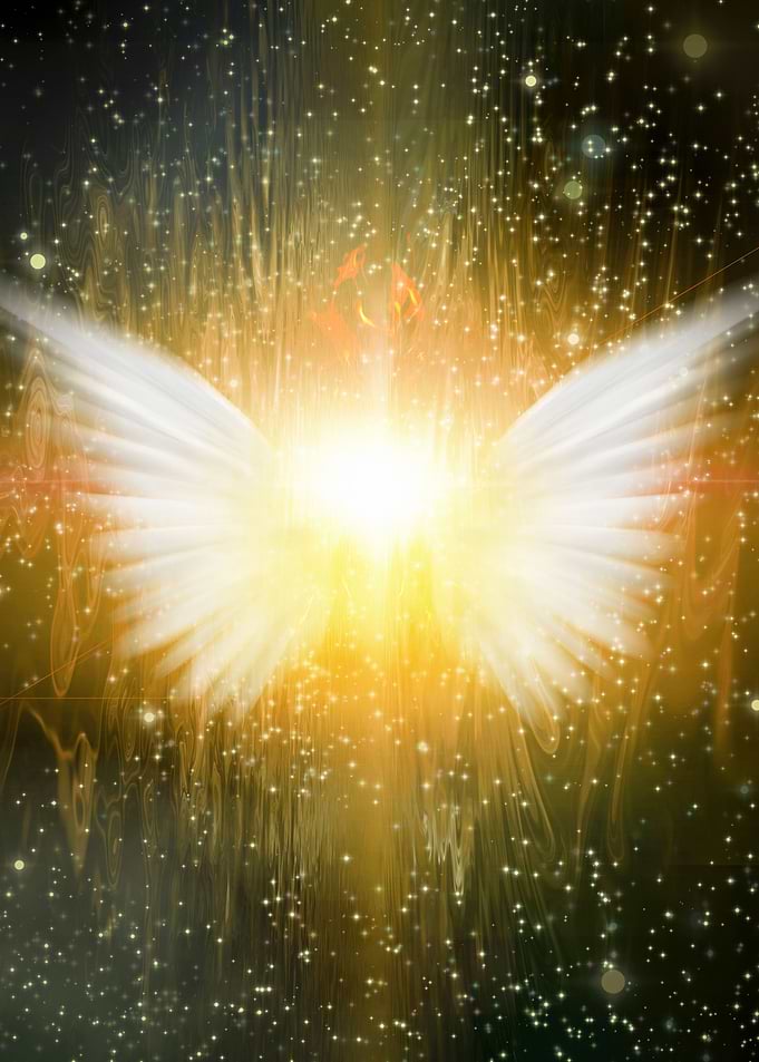 Shining wings