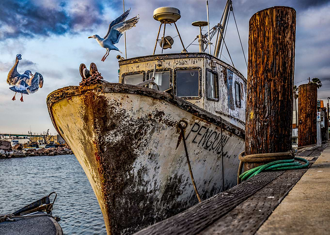 Old boat and seagulls