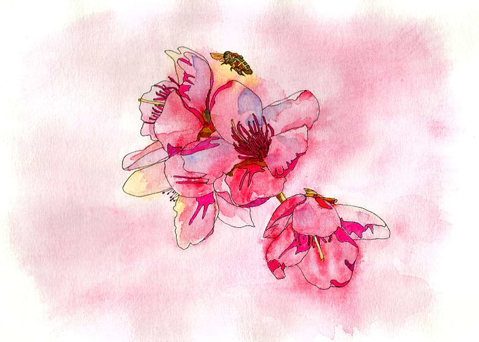 Pink air