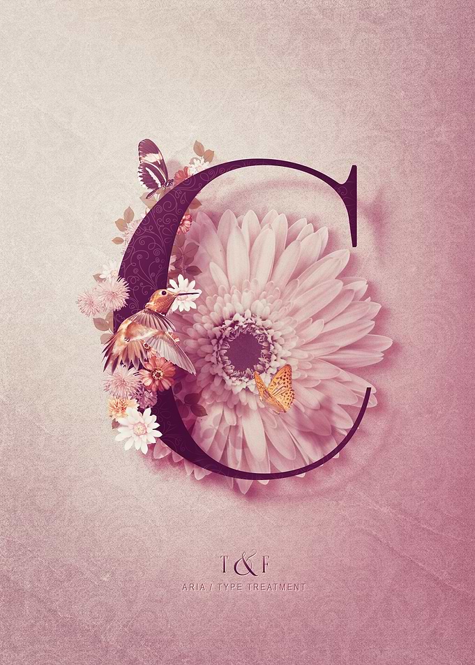 Aria Alphabet Letter C