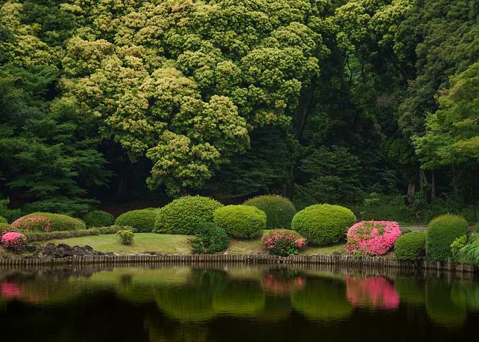 Garden Reflections