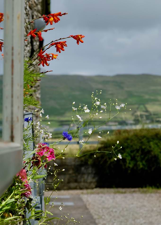 FROM THE WINDOWSILL