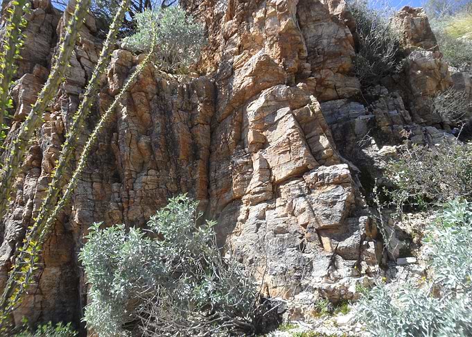 Canyon Adventure