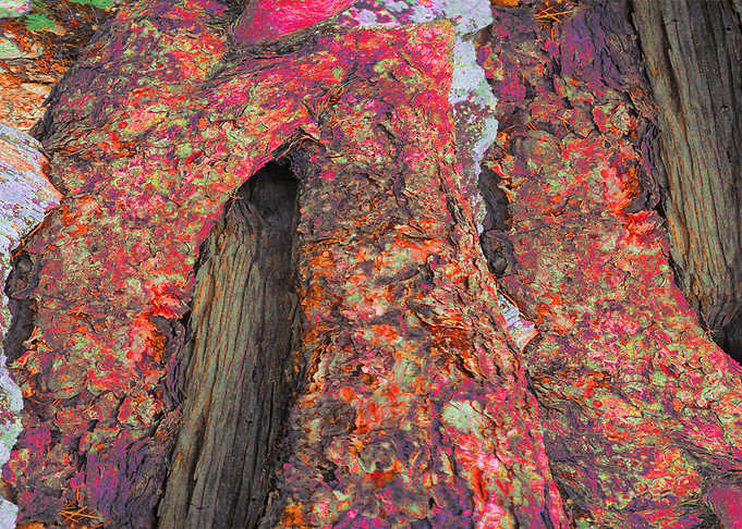 Ceremonial Rock
