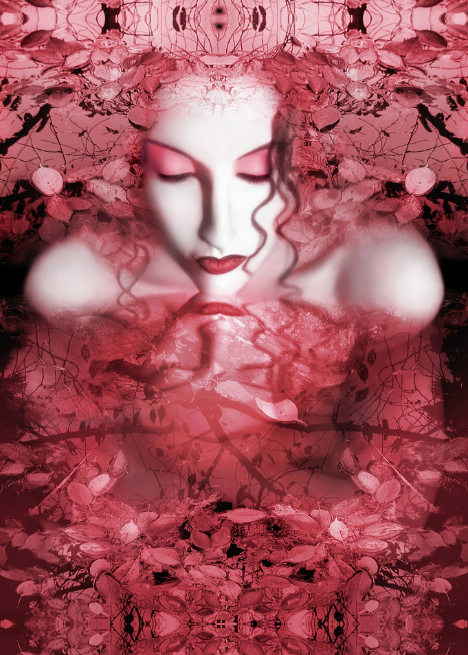 Red and Pink Autumn