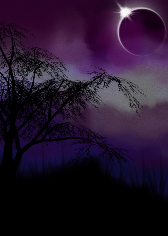 Forest Night