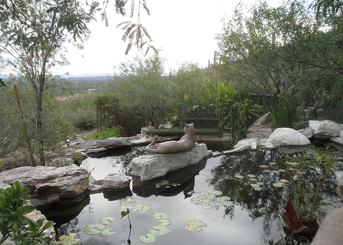Garden of Wonder