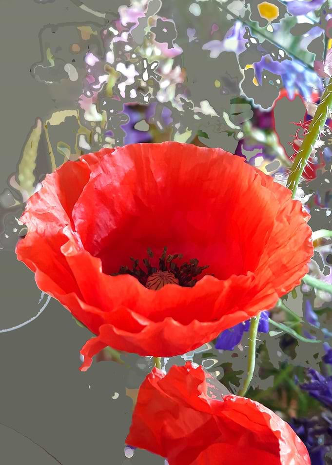 Glass poppy