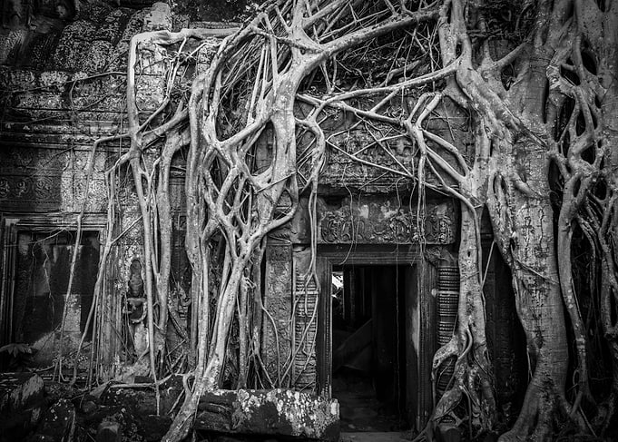 Ta Prohm
