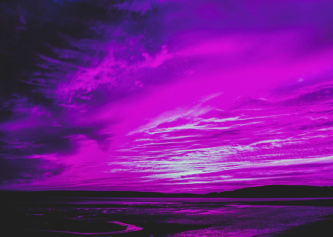 Aesthetic Tropical