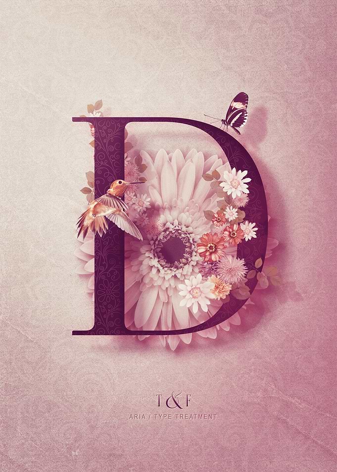 Aria Alphabet Letter D
