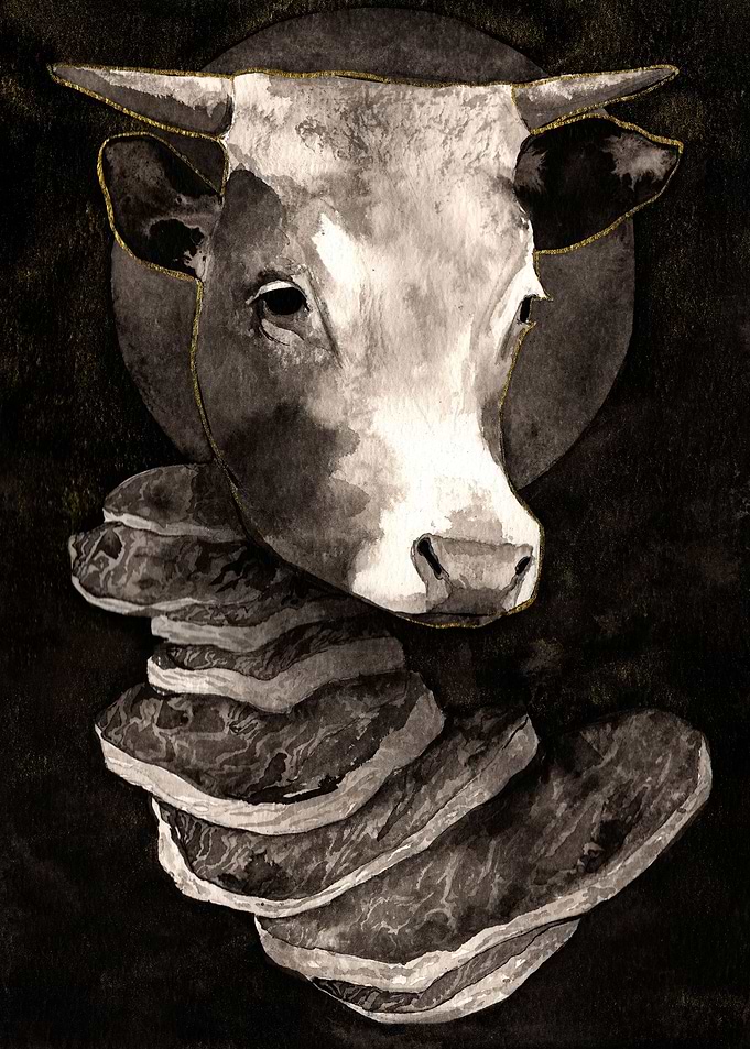 Cow Meat