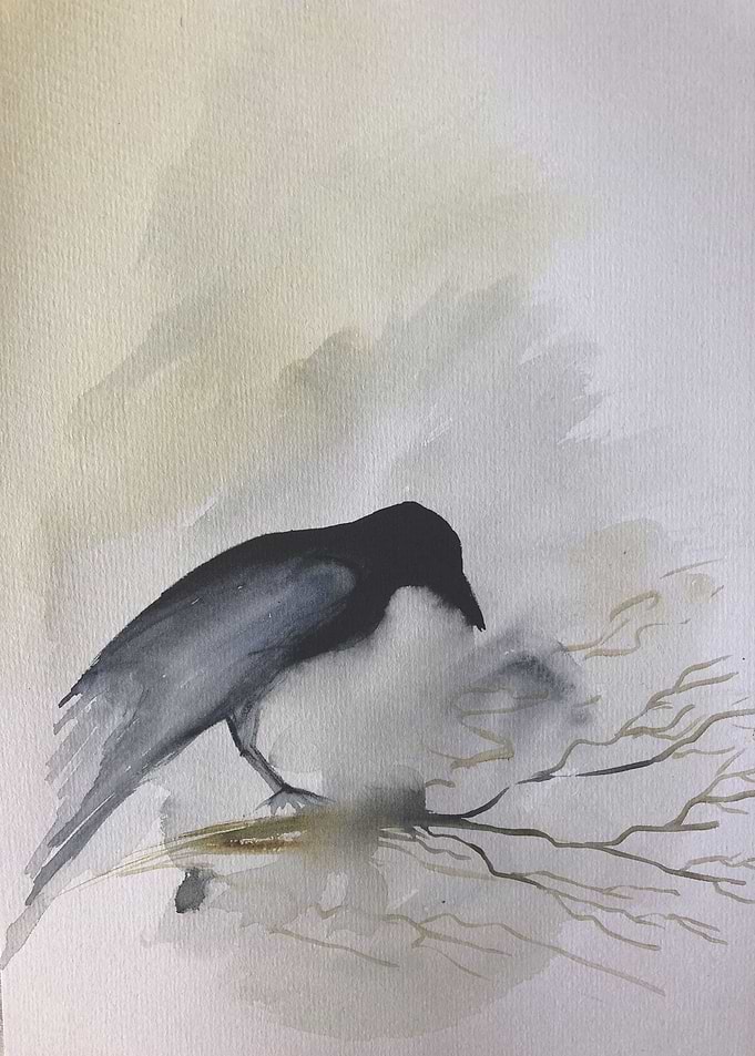 Rainy Raven