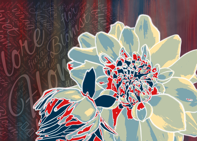 Flower 8 Dahlia 4