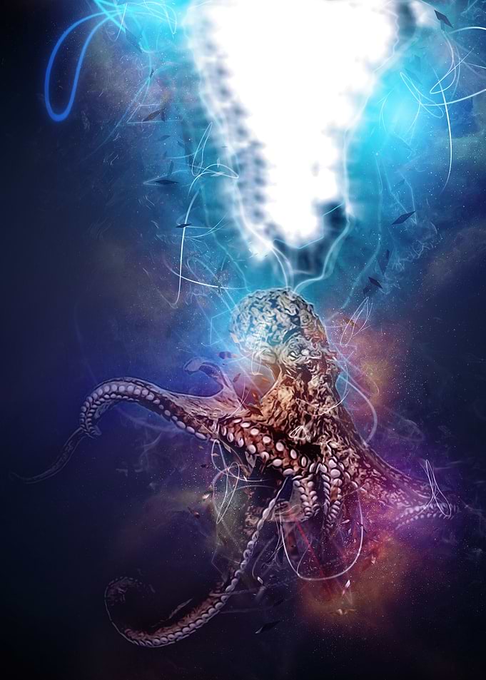 Neptunes creatures