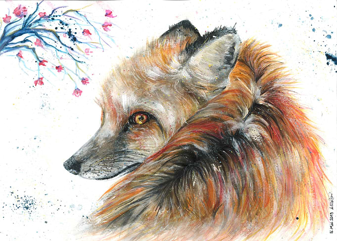 Red Fox