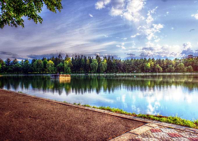 Lake in the park