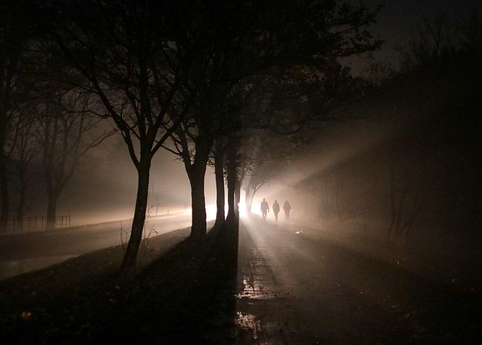 Split light through trees