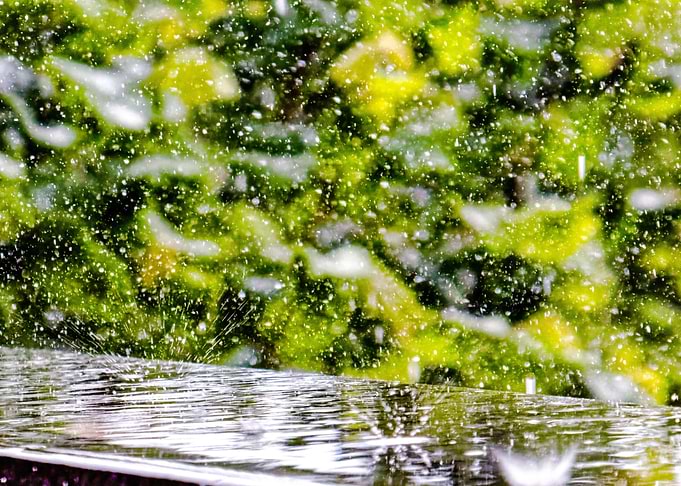 Rain