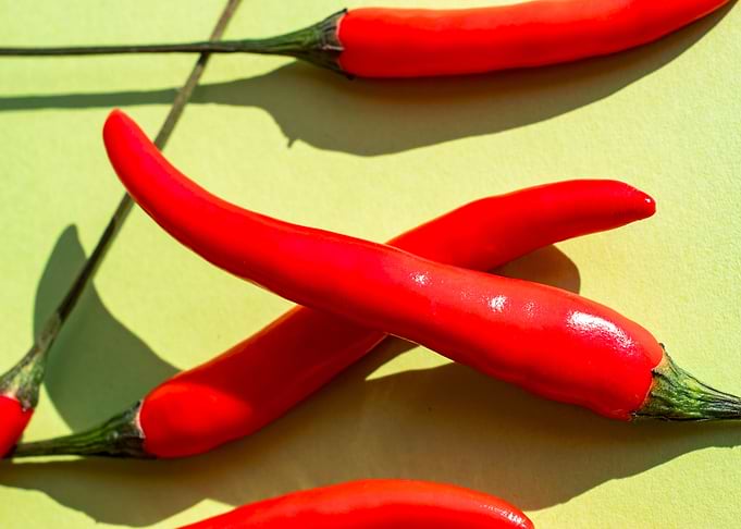 Chillies for art