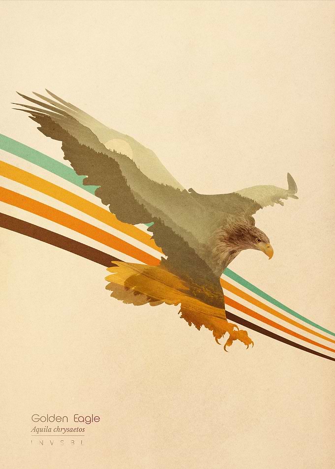 Golden Eagle
