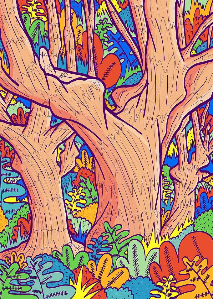 Oak Forest