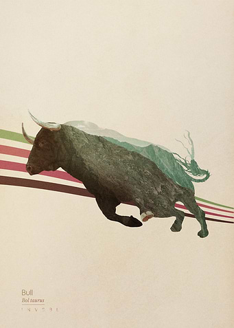 Bull