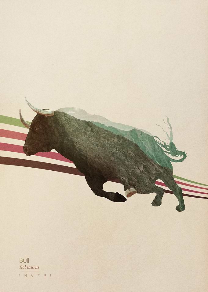 Bull