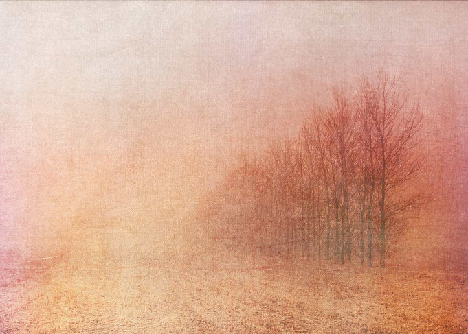 In the Mist