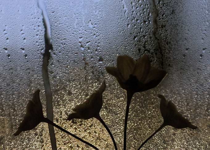 Abstract Flower 2