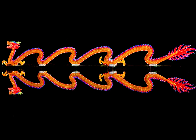 Moonlight Festival Dragon