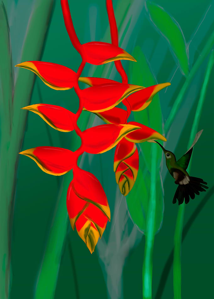 Flower with a Hummingbird
