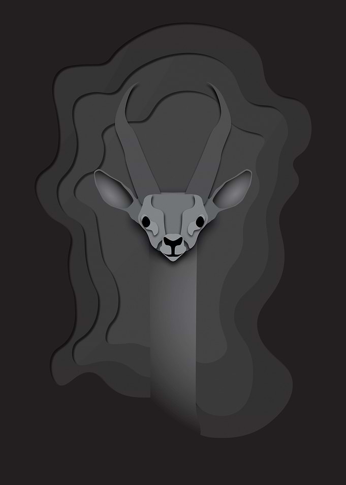 Gazelle