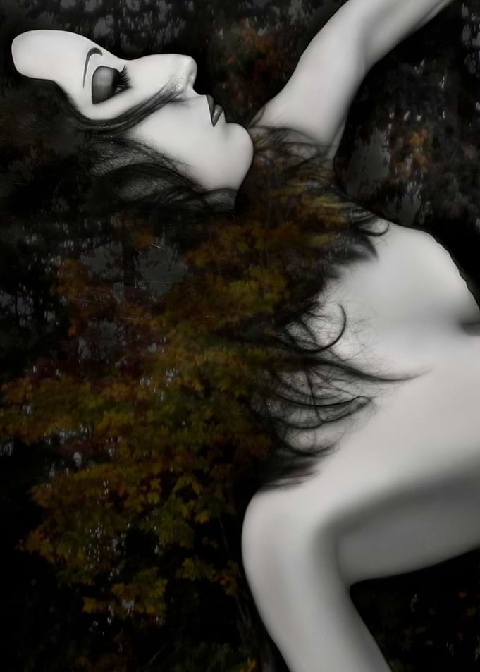 Autumn Dream