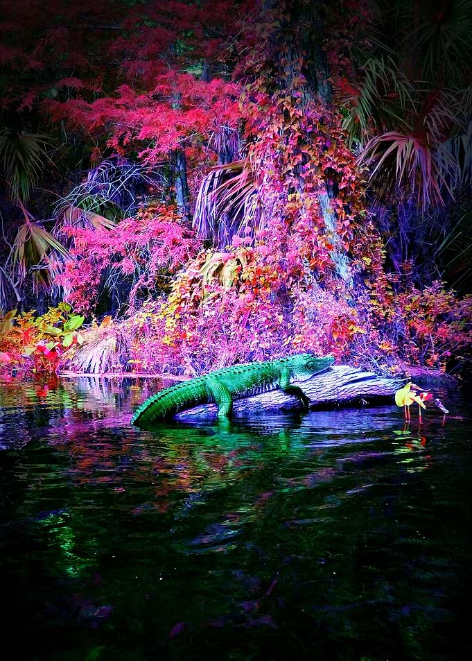 Pandora Gator