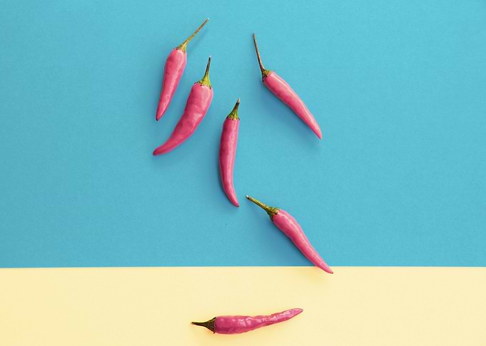Chillies for art