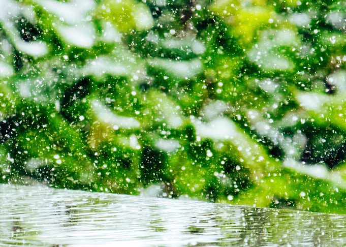 Drizzly