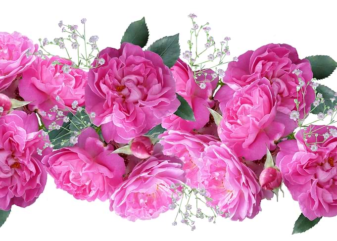 Pink Rose Bouquet
