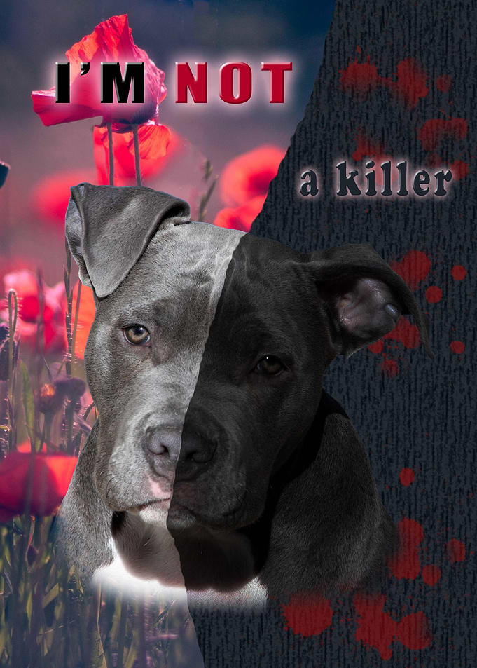 I am not a killer