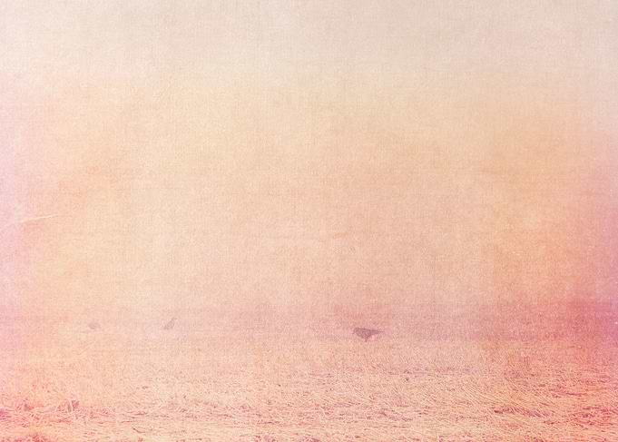 Crows in the Mist