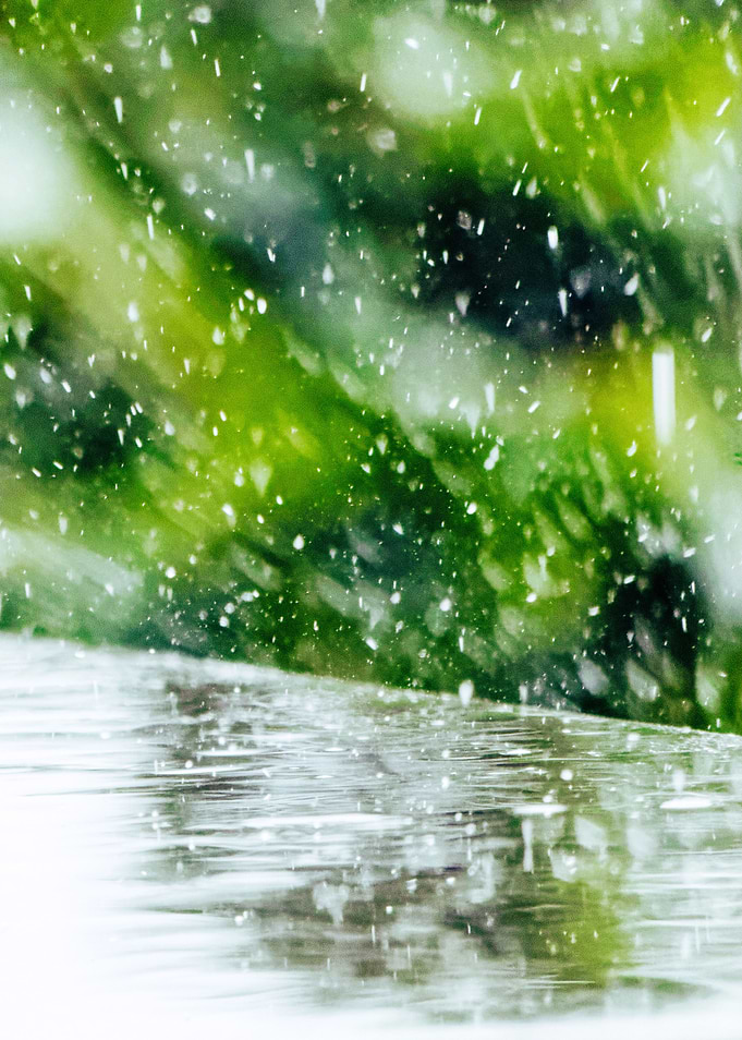Splash
