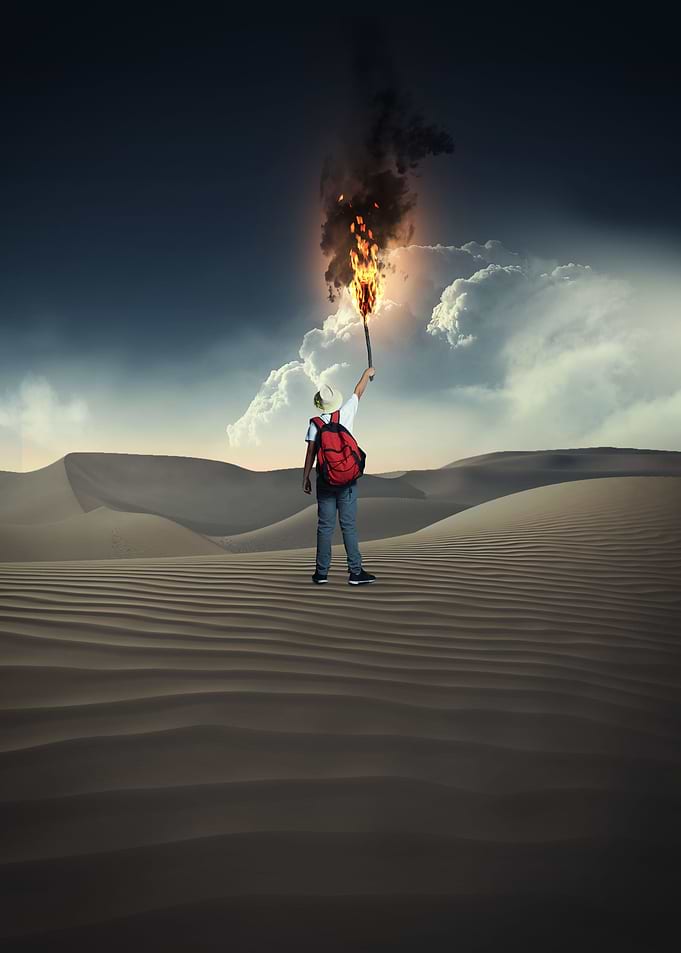 Explore the desert