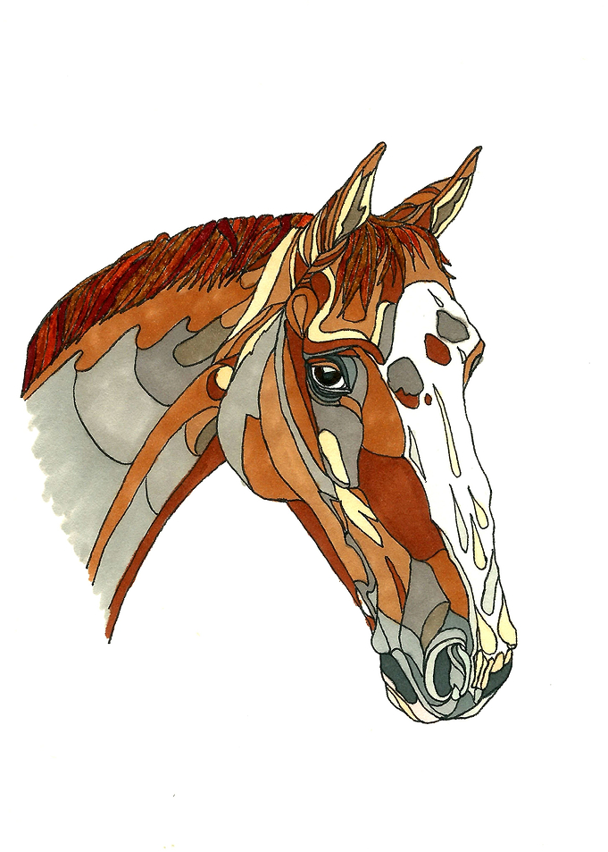 Horse portrait