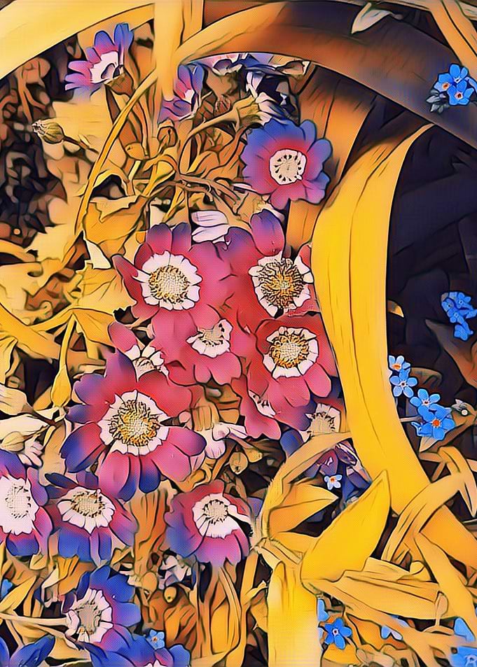 violet flowers