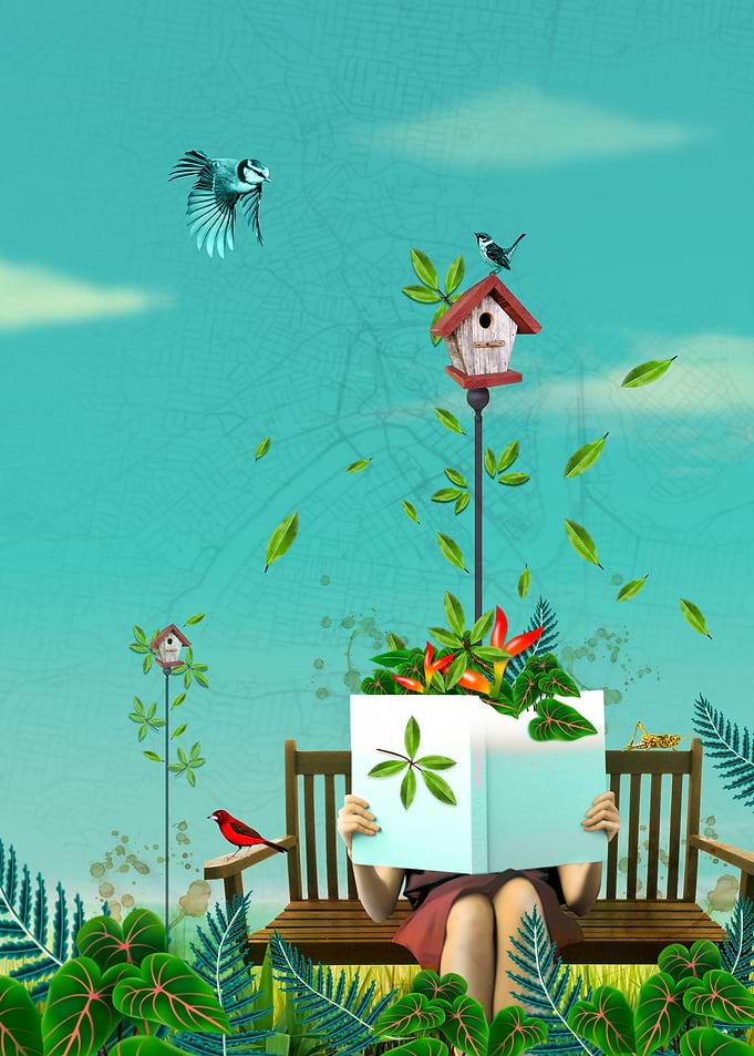 Bird Houses