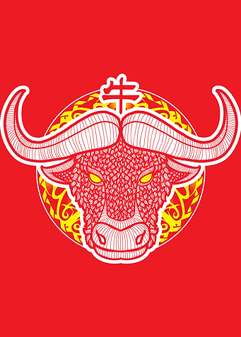 Chinese Shio Bull