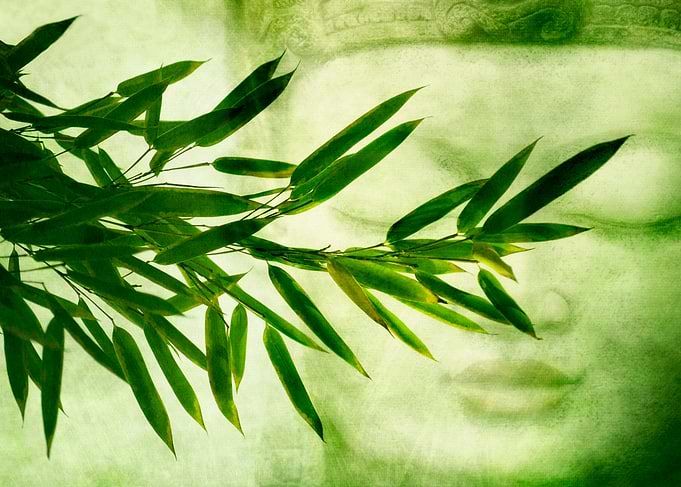 green buddha