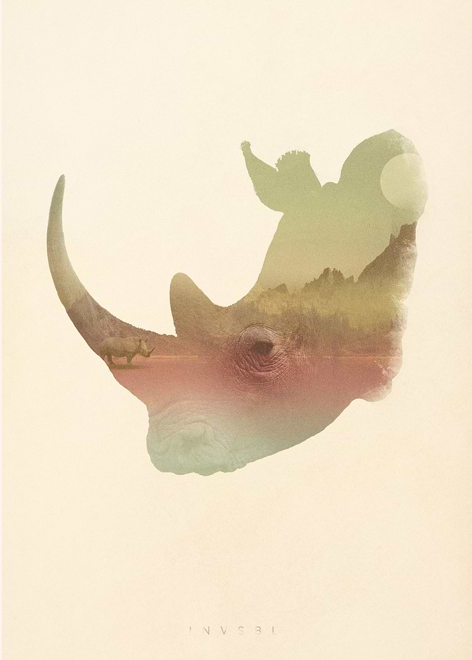 Rhino