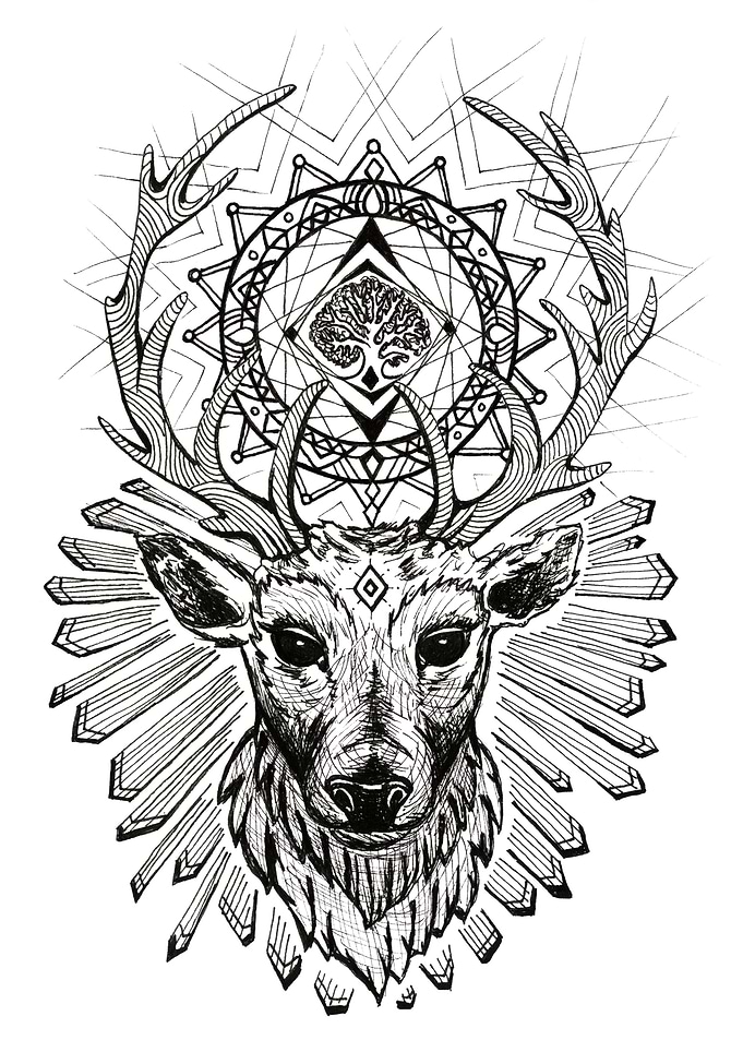 SACRED DEAR